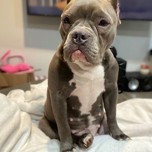 Meet your Posher, Edgar